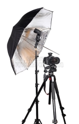 <h5>Lighting104</h5><p>Lighting104</p>