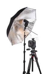 <h5>Lighting105</h5><p>Lighting105</p>