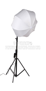 <h5>Lighting115</h5><p>Lighting115</p>