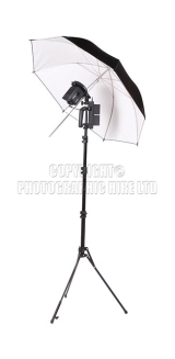 <h5>Lighting117</h5><p>Lighting117</p>