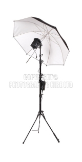 <h5>Lighting118</h5><p>Lighting118</p>