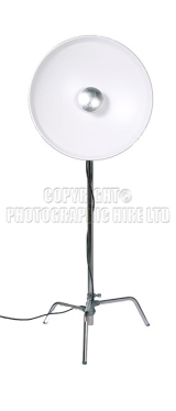 <h5>Lighting131</h5><p>Lighting131</p>