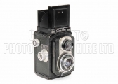 <h5>TLR20</h5><p>TLR20</p>