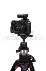 <h5>Prof-mirrorless039</h5><p>Prof-mirrorless039</p>